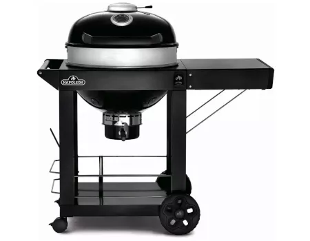 Napoleon Holzkohlegrill & Smoker