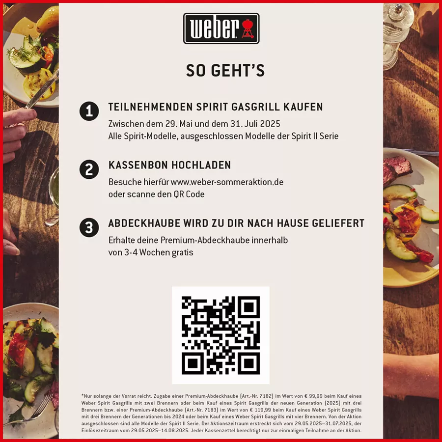Weber Sommer Aktion 2025
