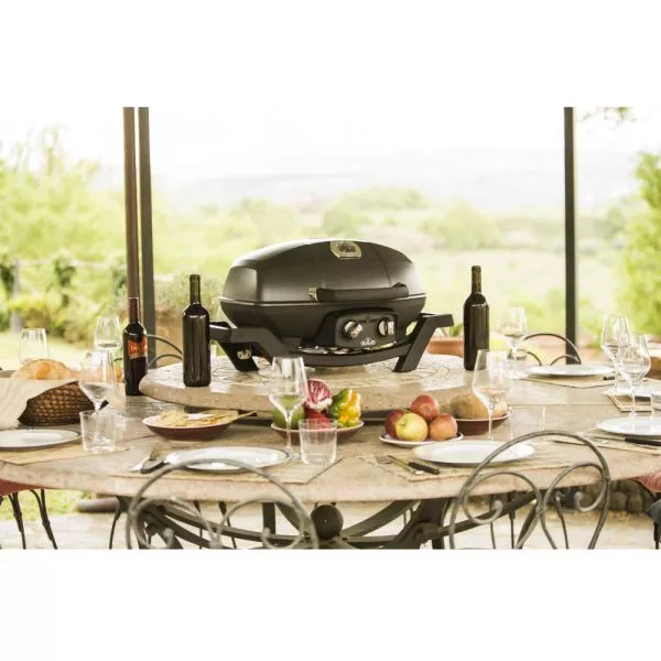 Mobiler Gasgrill Napoleon TravelQ PRO 285 | Ausstellungsstück