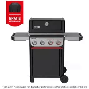 Weber Spirit E-425 GBS Gasgrill, Modell 2025